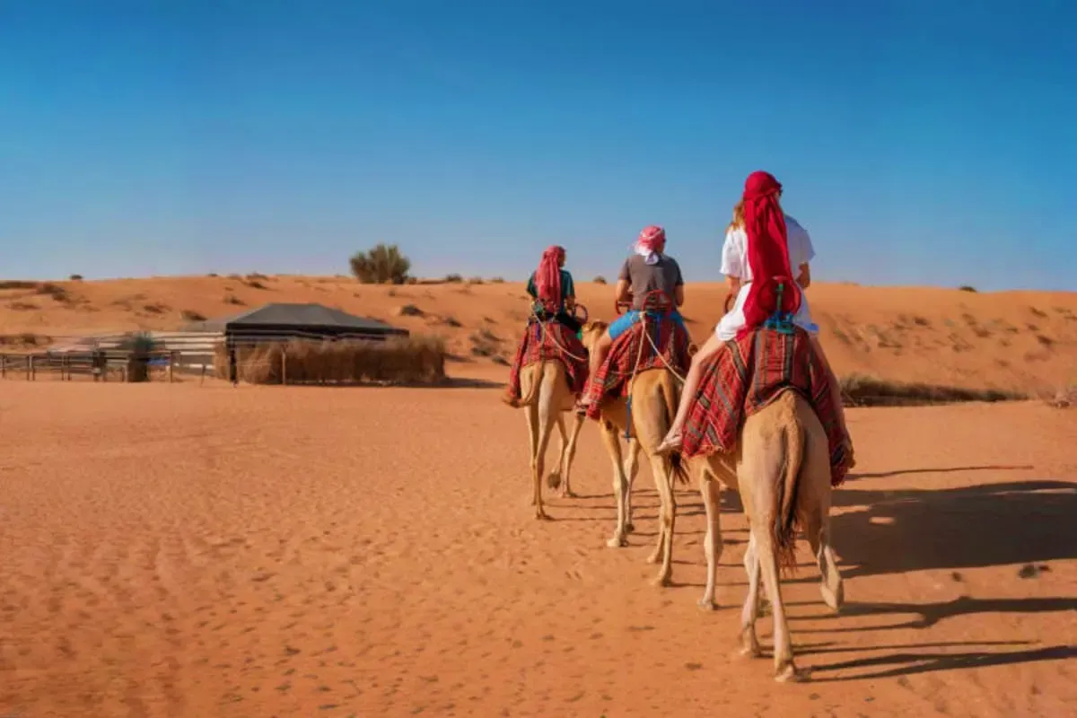 Camel Ride Safari — experience photo 2