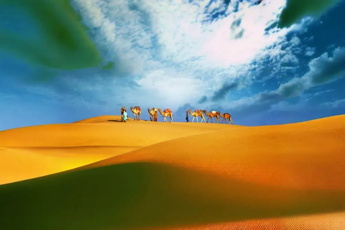 Camel Ride Safari — experience photo 3