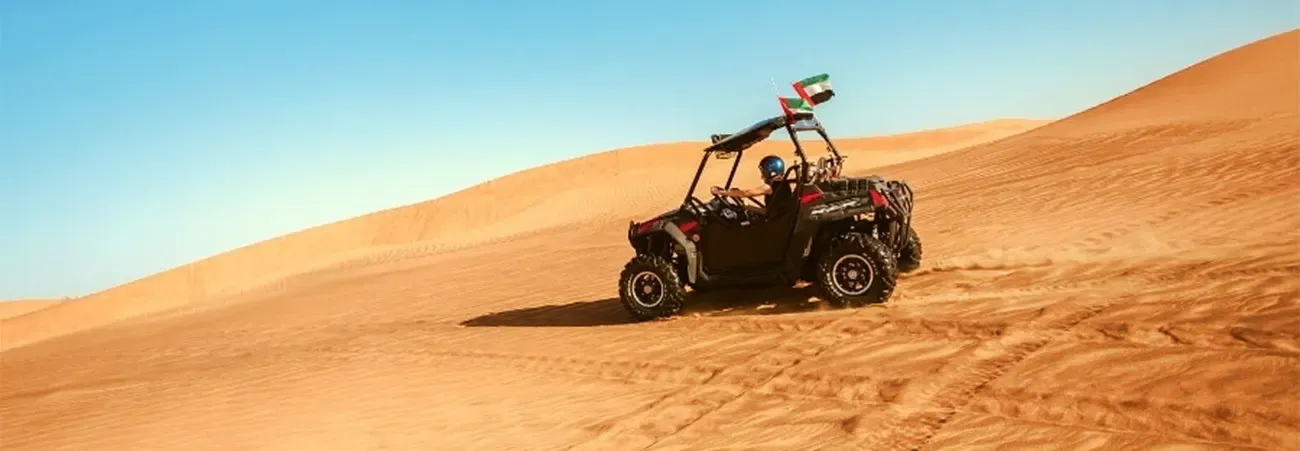 Desert Buggy Experience — experience photo 2