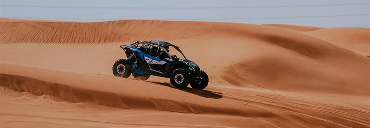 Desert Buggy Experience — destination and experience view