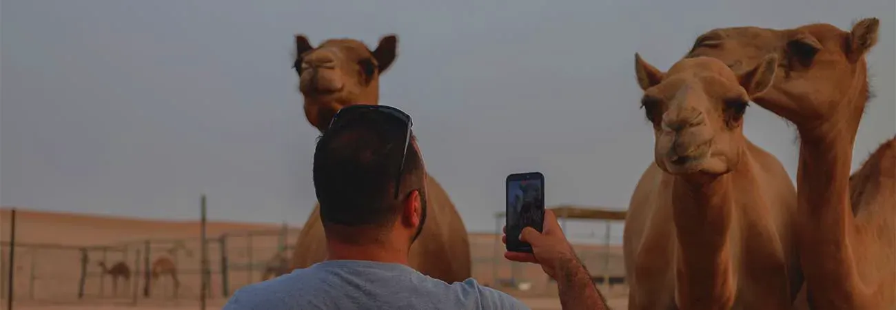 Abu Dhabi Desert Safari — experience photo 2