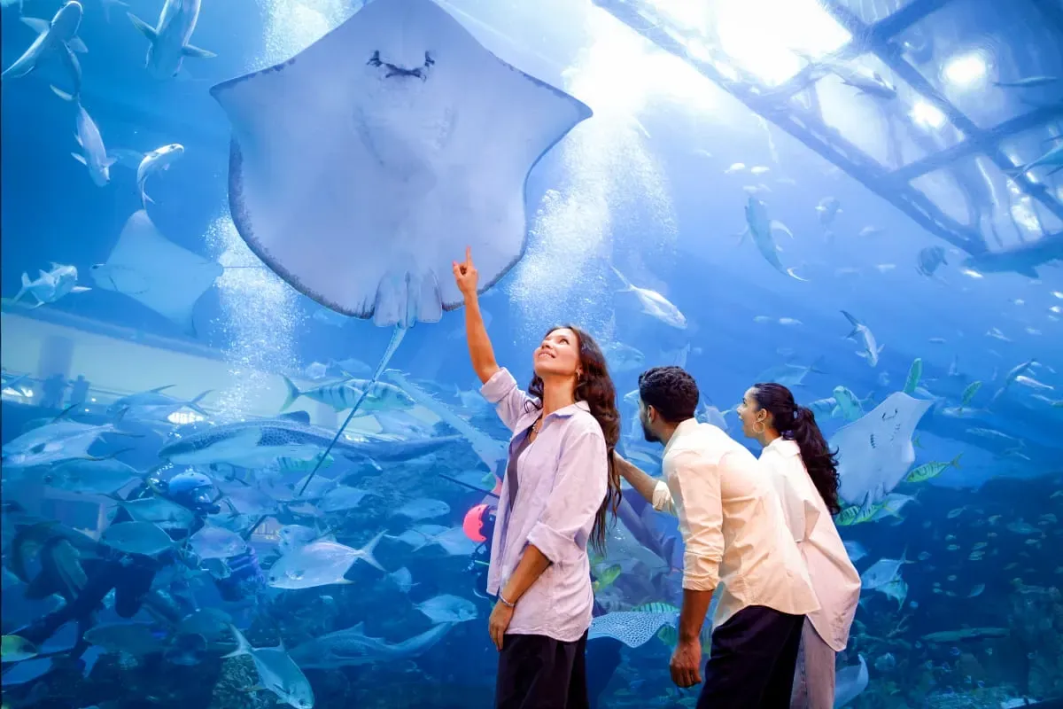 Dubai Aquarium & Underwater Zoo — experience photo 3