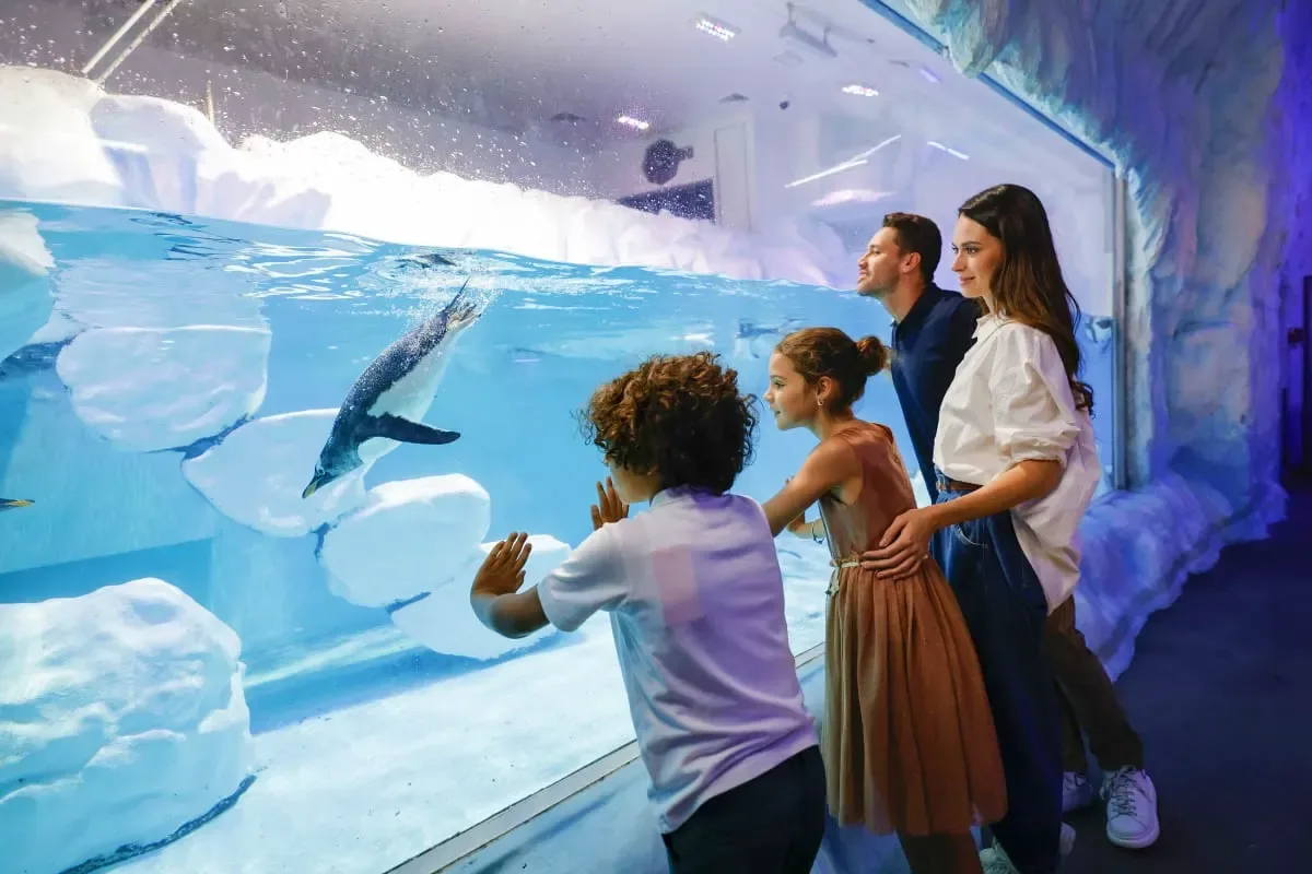 Dubai Aquarium & Underwater Zoo — destination and experience view