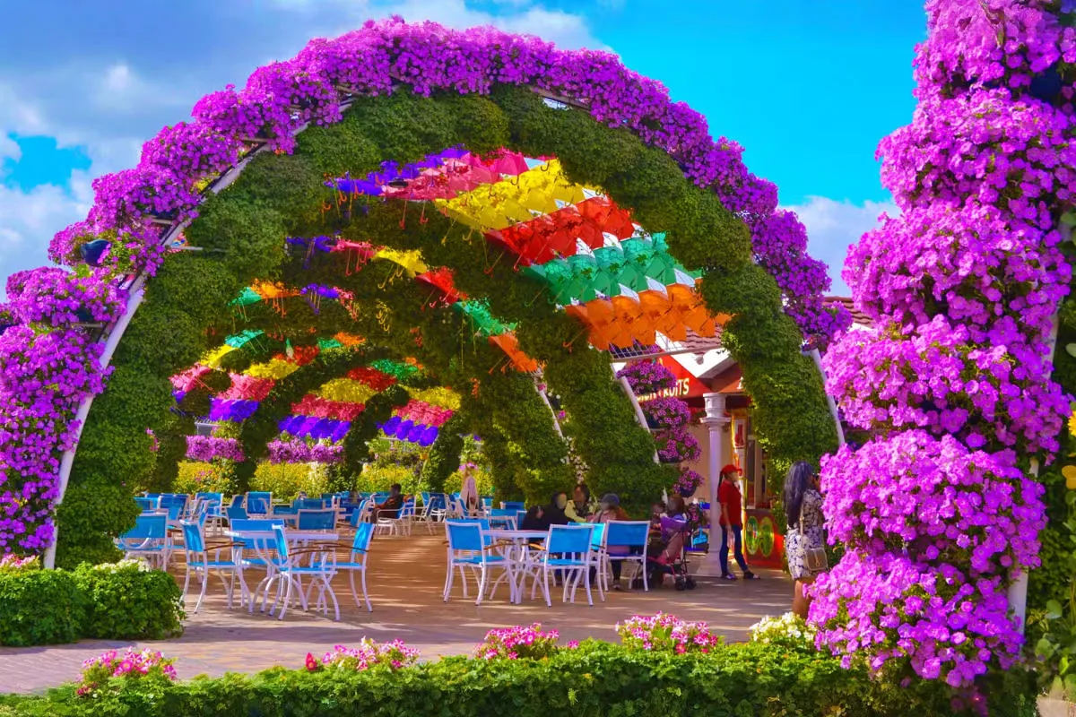 Dubai Miracle Garden Tickets — experience photo 2