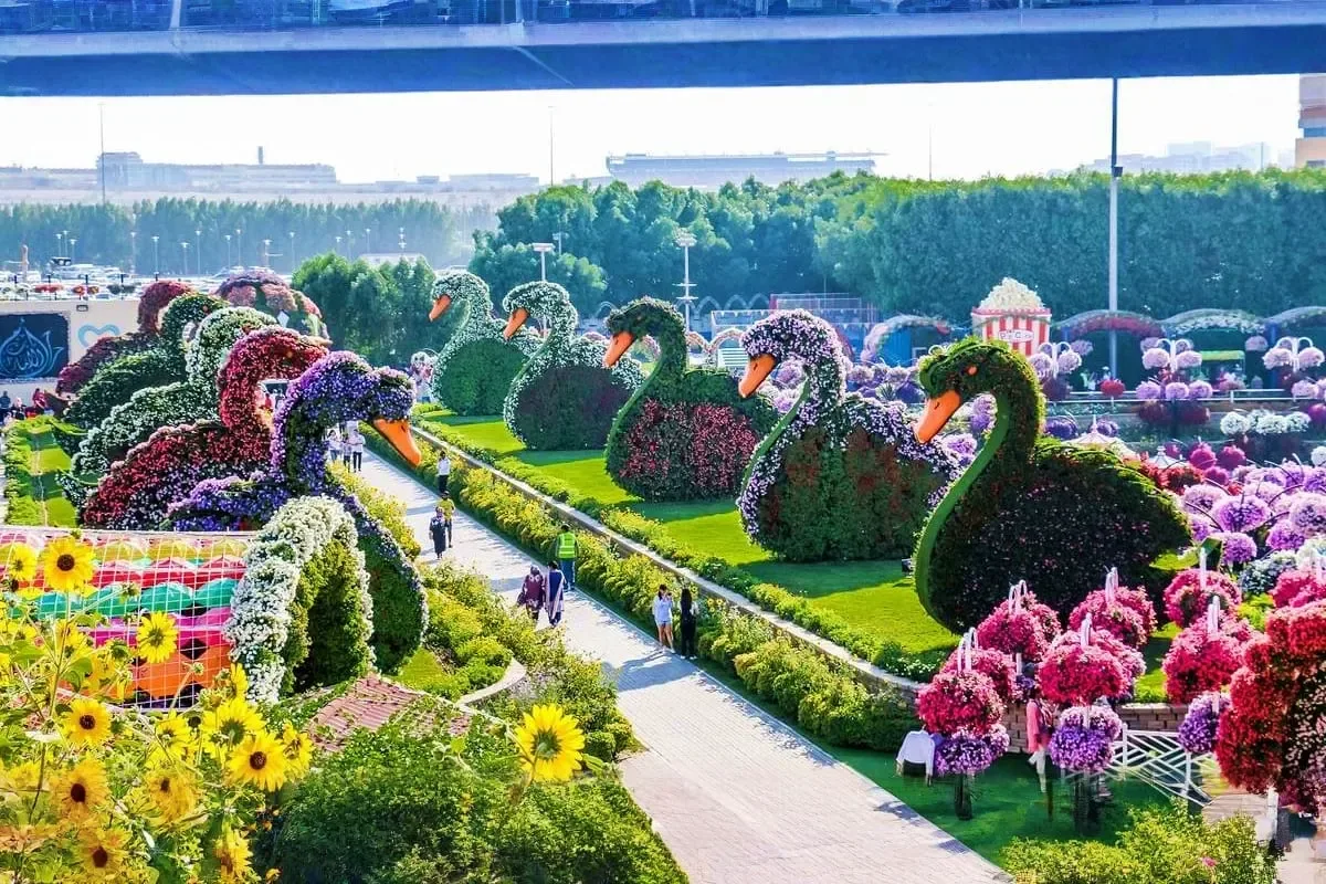 Dubai Miracle Garden Tickets — destination and experience view