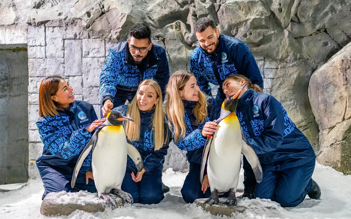 Ski Dubai Penguin Encounter — experience photo 3