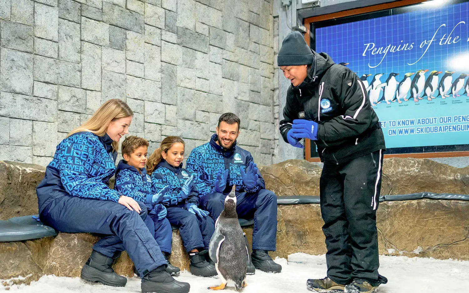 Ski Dubai Penguin Encounter — destination and experience view