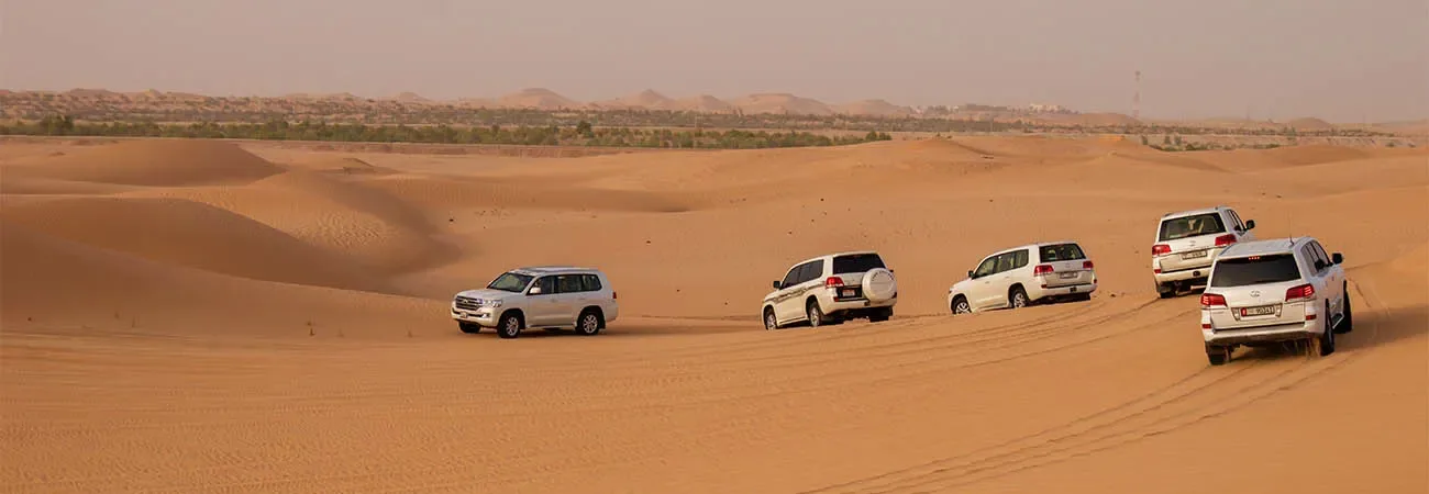 Abu Dhabi Sunrise Safari — destination and experience view