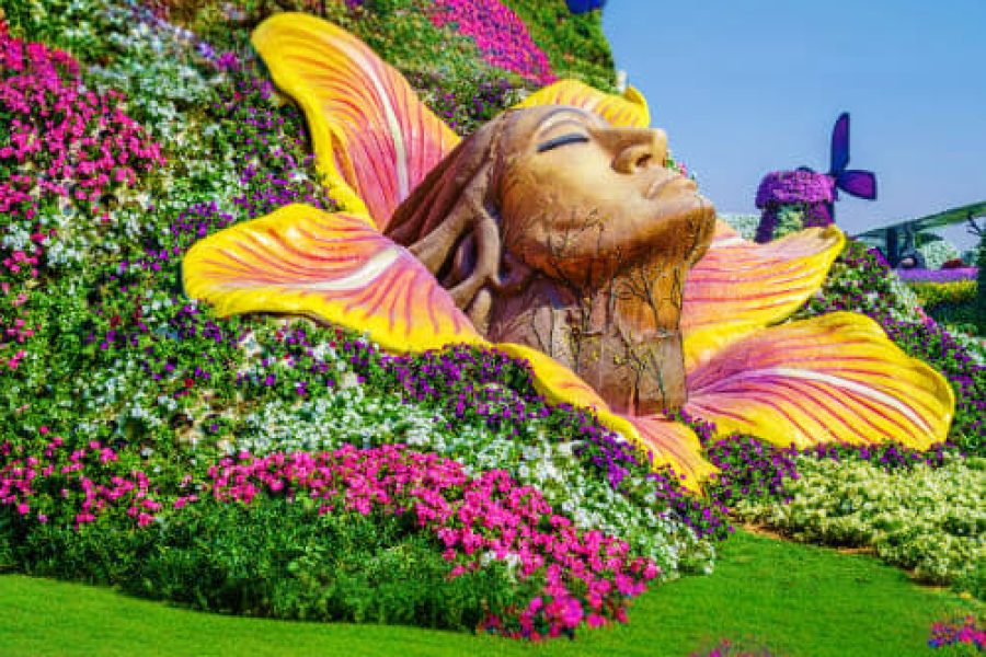 Miracle Garden Ticket