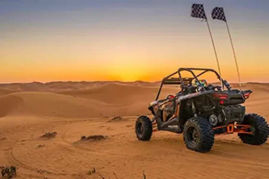 Desert Buggy Driving Experience