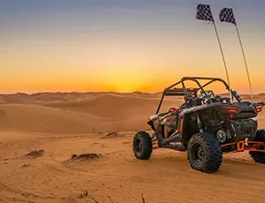 Desert Buggy Driving Experience